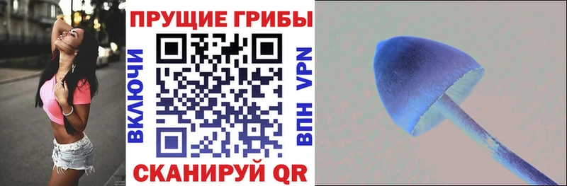 Псилоцибиновые грибы GOLDEN TEACHER Белогорск